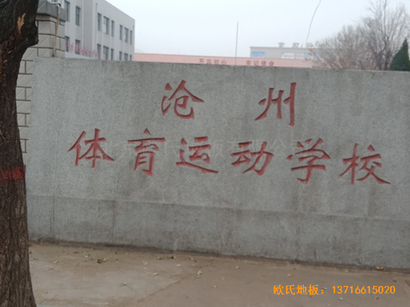 ӱwW(xu)@^wľذO(sh)0
