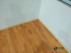 購(gòu)買(mǎi)松木舞臺(tái)體育木地板牌子
