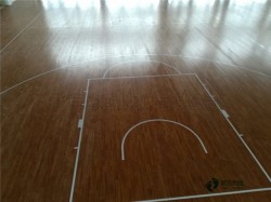 籃球館木地板消光